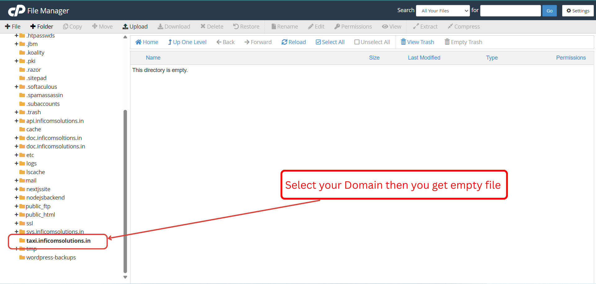 cPanel File Manager - Domain Directory